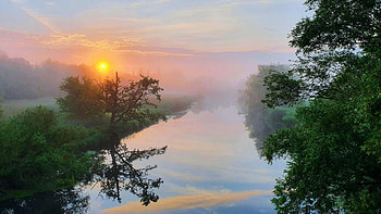 Misty Morning, northern, clouds, trees, germany, sky, sun, sunrise HD wallpaper