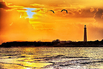 Lighthouse in the gold, shore, lighthouse, birds, golden sky, flight, reflections, ocean HD wallpaper