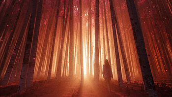 The Forest Sunset Breeze, forest, artist, artwork, digital-art, artstation HD wallpaper