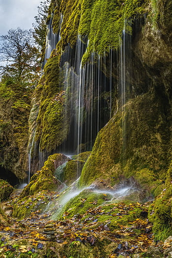 Tranquil waterfall cascading over mossy rocks in a lush forest setting. Perfect nature background. HD phone wallpaper