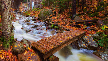 Forest Stream, trees, bridge, water, stones, leaves HD wallpaper