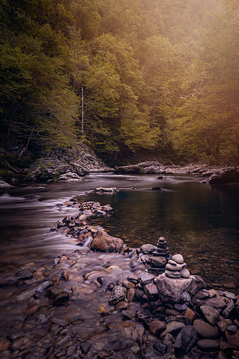 Nature, Water, Trees, Stones, Lake HD phone wallpaper
