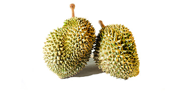 Asian exotic fruit, Durian in cuisine, Tropical produce, Vegetable substitute HD wallpaper