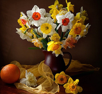 Still Life, flowers, amazing, yellow HD wallpaper
