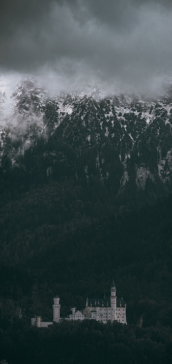 Nature, Trees, Mountains, Lock, Forest, Germany, Neuschwanstein Castle, Schwangau HD phone wallpaper