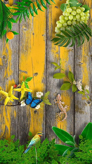 Nature, flowers, green, fruits, plants, bird, lizzard HD phone wallpaper