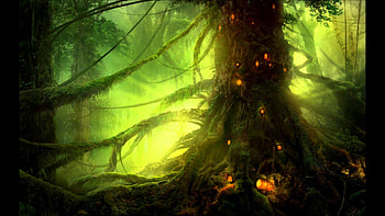 Tree Of Life, life, enchamtment, light, tree HD wallpaper
