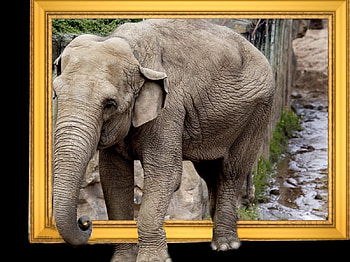 Elephant, 3d, animals HD wallpaper