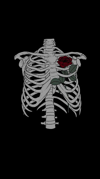 Heart skeleton, skelet HD phone wallpaper