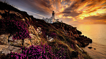 Morning at the Fanad Head Lighthouse, Donegal, Ireland, coast, sea, trees, landscape, clouds, sky, rocks, sunset HD wallpaper