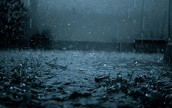 rain, drops, leaf, ground HD wallpaper