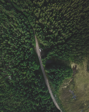 Nature, Trees, View From Above, Road, Forest, Movement, Traffic HD phone wallpaper