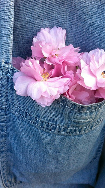Pink Aesthetic, Adorable Flower HD phone wallpaper