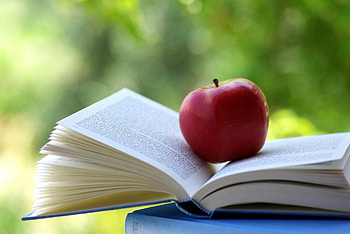 Apple, Glare, Miscellanea, Miscellaneous, Blur, Smooth, Book HD wallpaper
