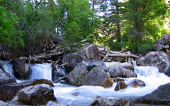Nature, Rivers, Trees, Stones, Forest, Dam, Logs HD wallpaper