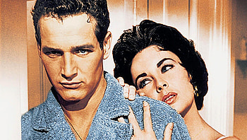 Cat on a Hot Tin Roof (2022) movie HD wallpaper