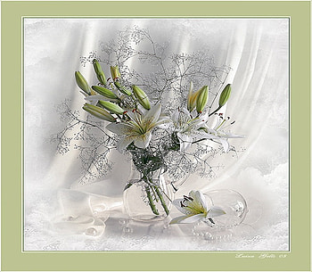 Classic beauty, white, buds, vase, flowers, silk, lillies HD wallpaper