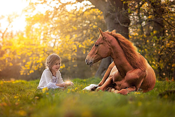 :), horse, brown, green, girl, child, copil, little HD wallpaper