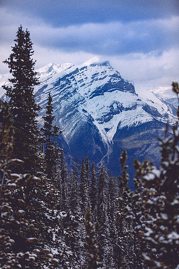 Nature, Mountain, Vertex, Top, Forest, Spruce, Fir, Snow Covered, Snowbound HD phone wallpaper