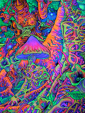 butterflies. Trippy , Psychedelic art, Trippy background, Psychedelic Butterfly HD phone wallpaper