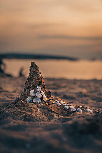 Nature, Sea, Beach, Sand, Shells HD phone wallpaper
