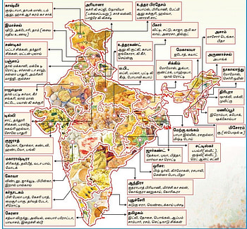 Indian state foods, food items, foods, state, india HD wallpaper