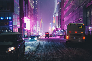 Night City Street Neon Lights , night, city, skyscraper, neon, lights, graphy HD wallpaper