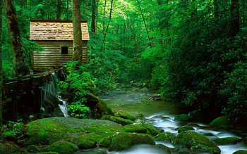 cabin above a green forest stream, sluice, moss, rocks, forest, cabin, stream HD wallpaper