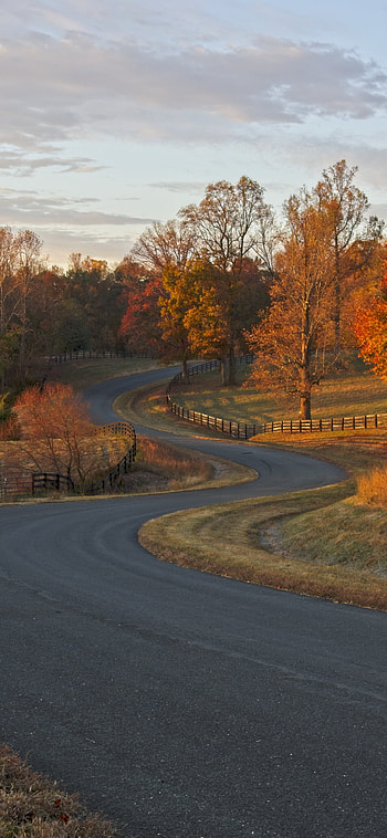 fall, man made, road HD phone wallpaper