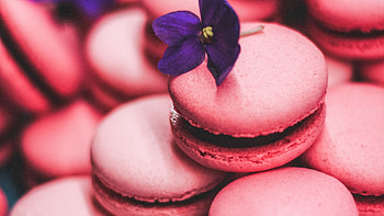Elegant macaron tower, Pink perfection, Tempting dessert display, Whimsical celebration centerpiece HD wallpaper