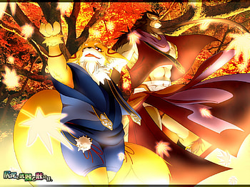 lion, light, autumn, furry, fox, tree HD wallpaper