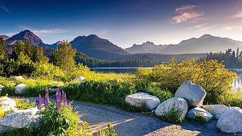 High Tatras, Slovakia, trees, sky, rocks, lake, cabin, stones HD wallpaper