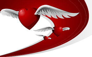 Love heart, Flying angel wings, background HD wallpaper