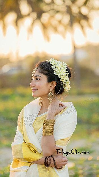 South Heroine, Sai Pallavi, South Indian, Actress HD phone wallpaper