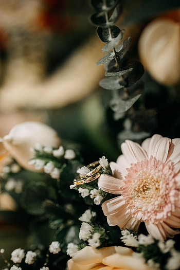 Flowers, Love, Rings, Bouquet, Wedding Rings HD phone wallpaper