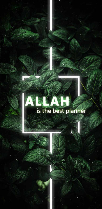 Dawah, muslim, islamic, islam, religious, Dawah HD phone wallpaper