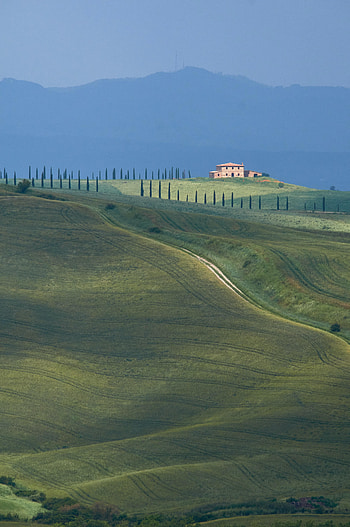 Landscape, Nature, Relief, Field, Hills HD phone wallpaper
