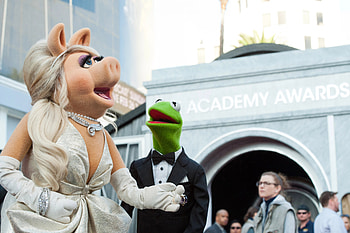 Kermit the Frog, Miss Piggy, movie, The Muppets (TV Show) HD wallpaper