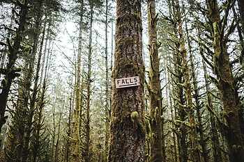 Words, Wood, Tree, Inscription, Pointer HD wallpaper