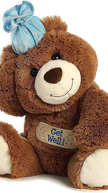 Teddy Bear Live, Cute, Soft Toy HD phone wallpaper