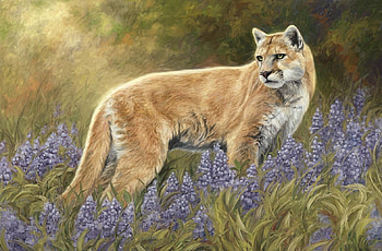 Among the Flowers, animal, flowers, painting, cougar HD wallpaper