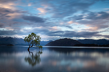 Nature, Mountains, Clouds, Lake, Reflection, Wood, Tree HD wallpaper