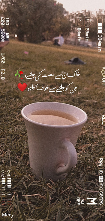 Chai Urdu poetry Park, Aesthetic, Sad, Urdu poetry HD phone wallpaper