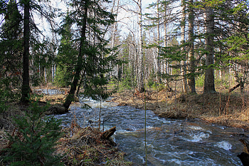 Landscape, Nature, Rivers, Trees, Forest, Flow HD wallpaper