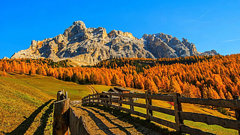 farm on a mountain meadow in fall, fall, fence, farm, meadow, forest, mountain HD wallpaper