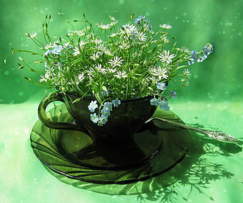 Still Life, plate, flowers, cup, saucer, spoon, beauty HD wallpaper