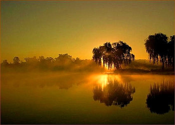 Sunset mists, mist, trees, gold, lake, reflections, sunset HD wallpaper