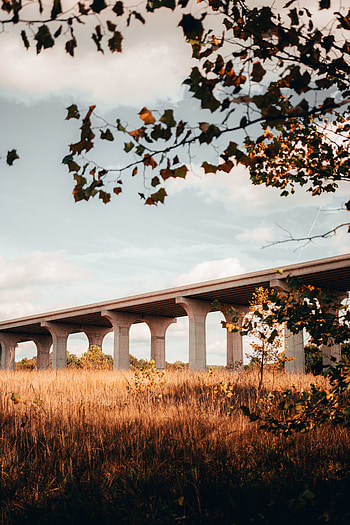 Trees, Grass, Architecture, Miscellanea, Miscellaneous, Bridge, Design, Construction HD phone wallpaper