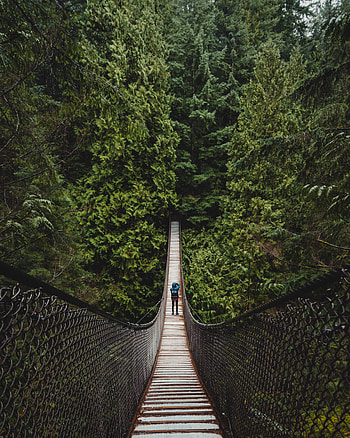 Nature, Trees, Forest, Human, Person, Suspension Bridge HD phone wallpaper