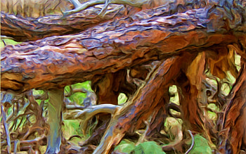 Fallen Tree, logs, enhanced, close up, tree HD wallpaper